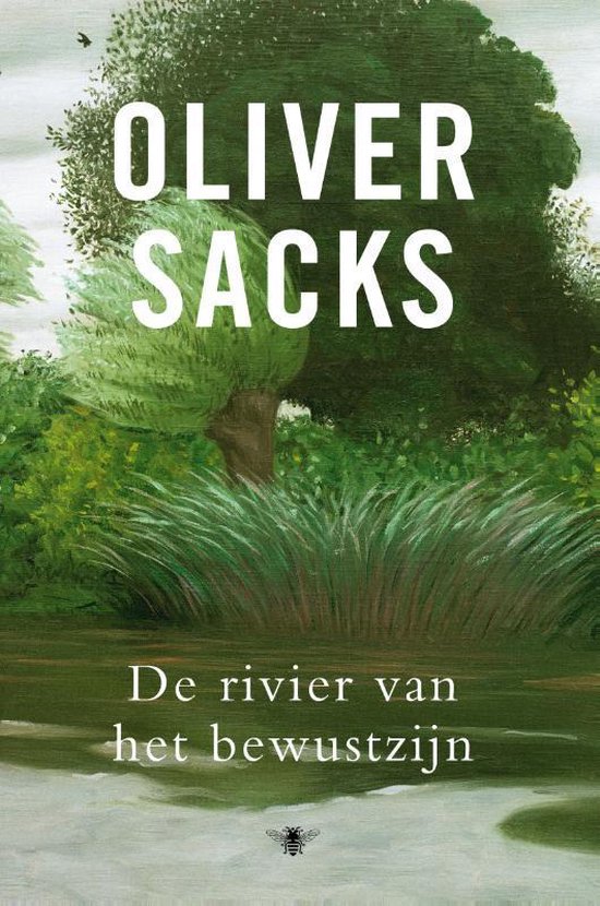 Omslag van De rivier van het bewustzijn
